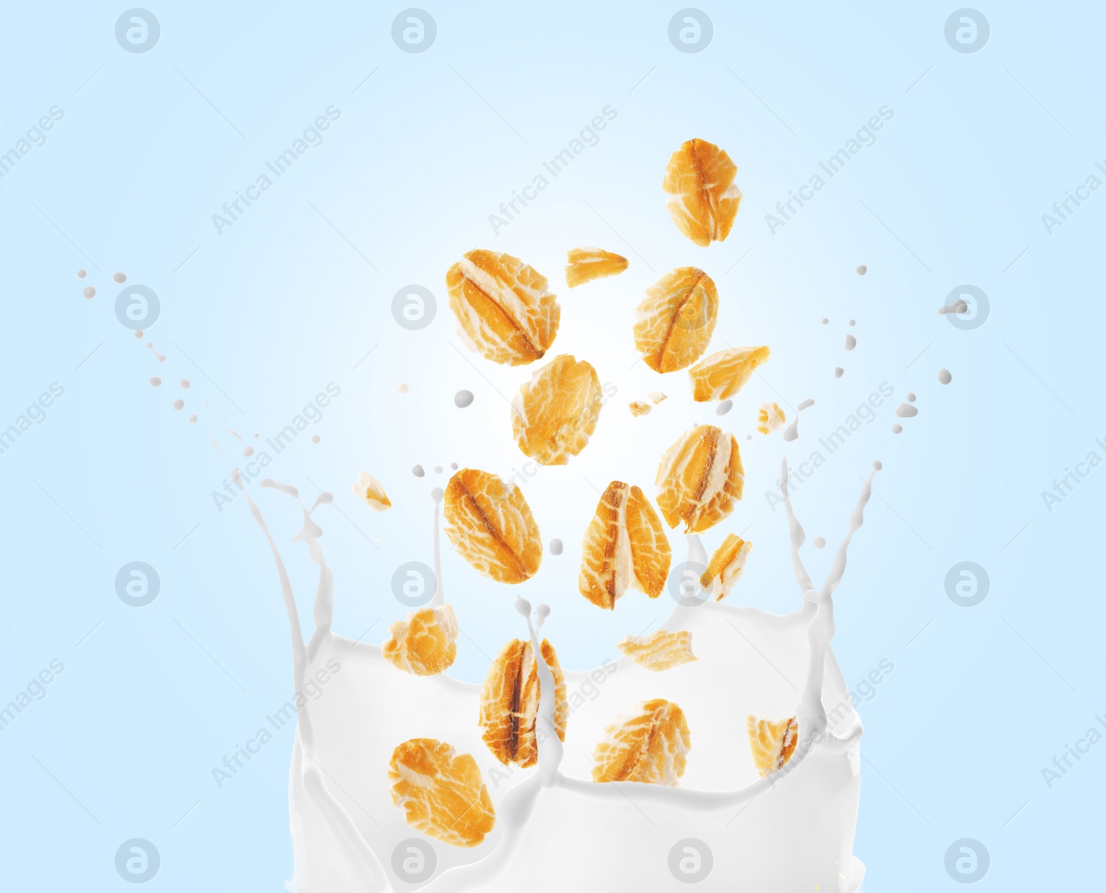 Image of Rolled oats falling into splashing milk on light blue background