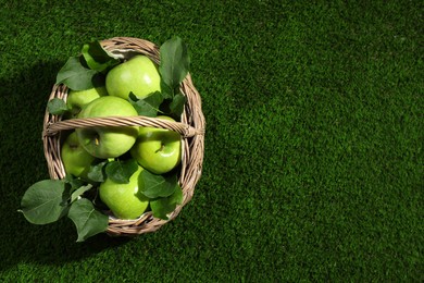Photo of Ripe green apples with leaves in wicker basket on grass, top view. Space for text