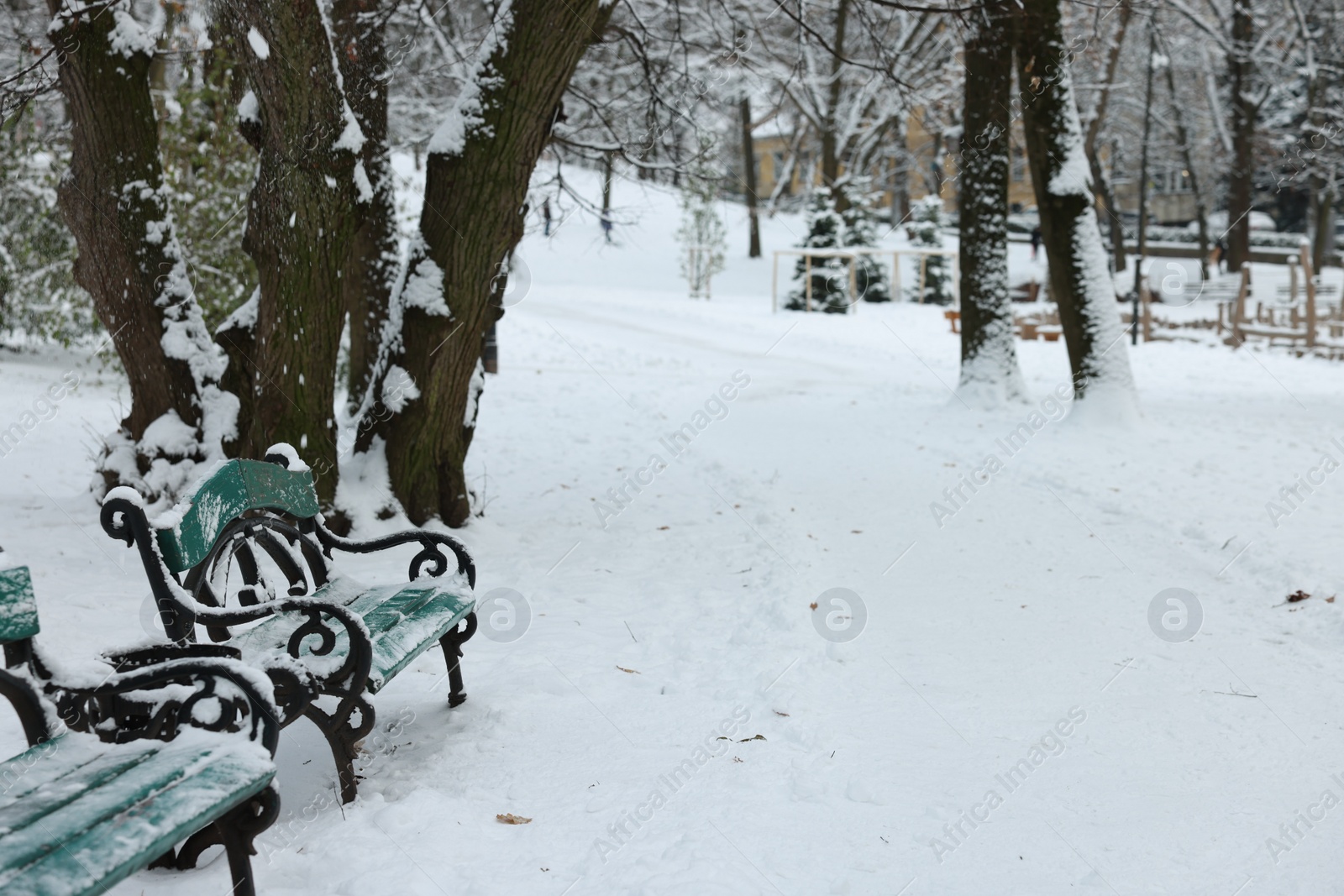 Photo of Green wooden benches and trees in winter park