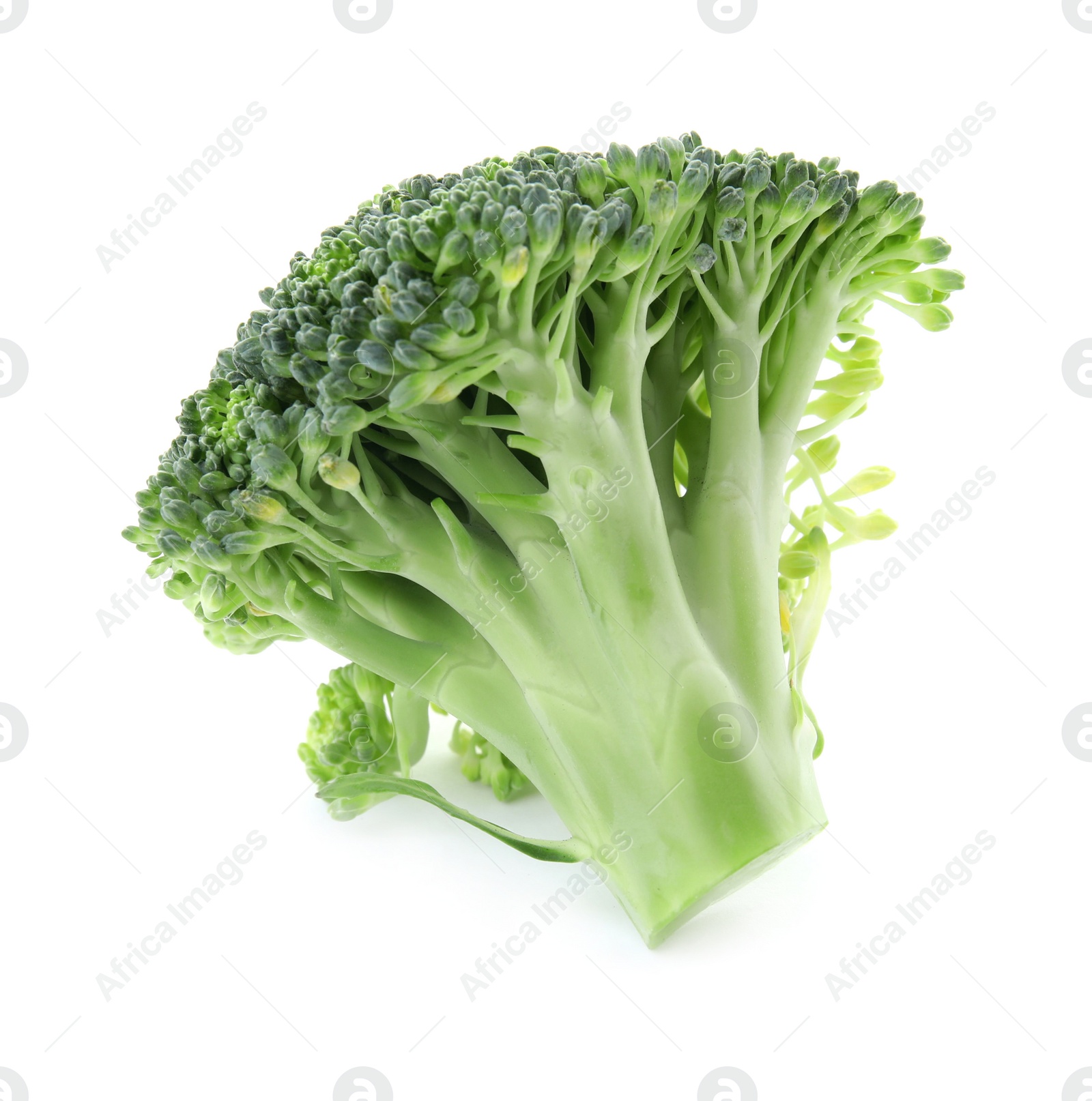 Photo of Fresh broccoli isolated on white. Edible green plant