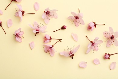 Photo of Beautiful spring tree blossoms and petals on yellow background, flat lay