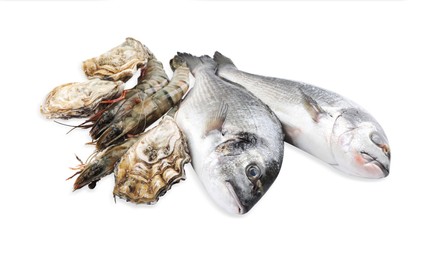 Photo of Fresh dorado fish, shrimps and oysters on white background