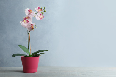 Artificial orchid plant in pink flower pot on light grey wooden table. Space for text