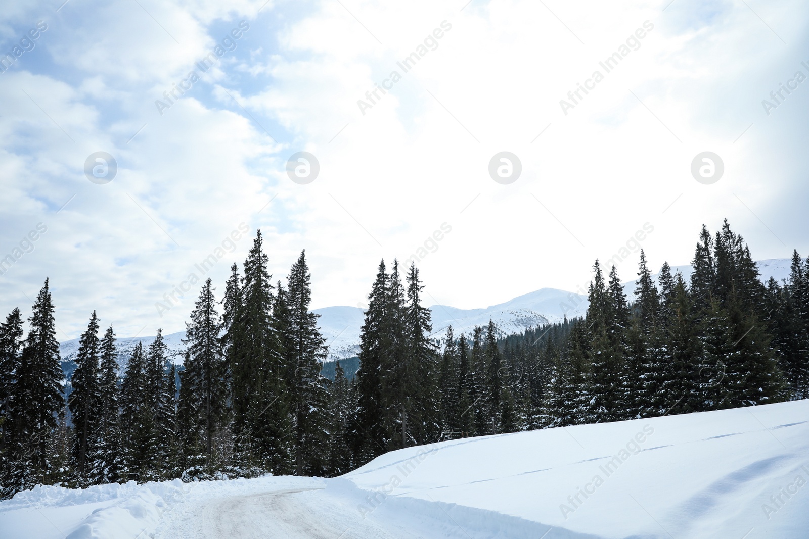 Photo of Picturesque view of snowy coniferous forest and road on winter day