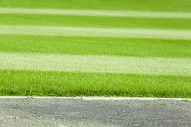 Bright green grass with white markings outdoors