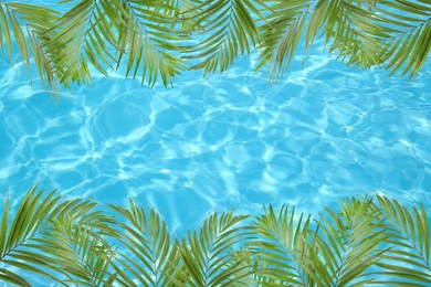 Image of View of beautiful green tropical leaves and outdoor swimming pool as background