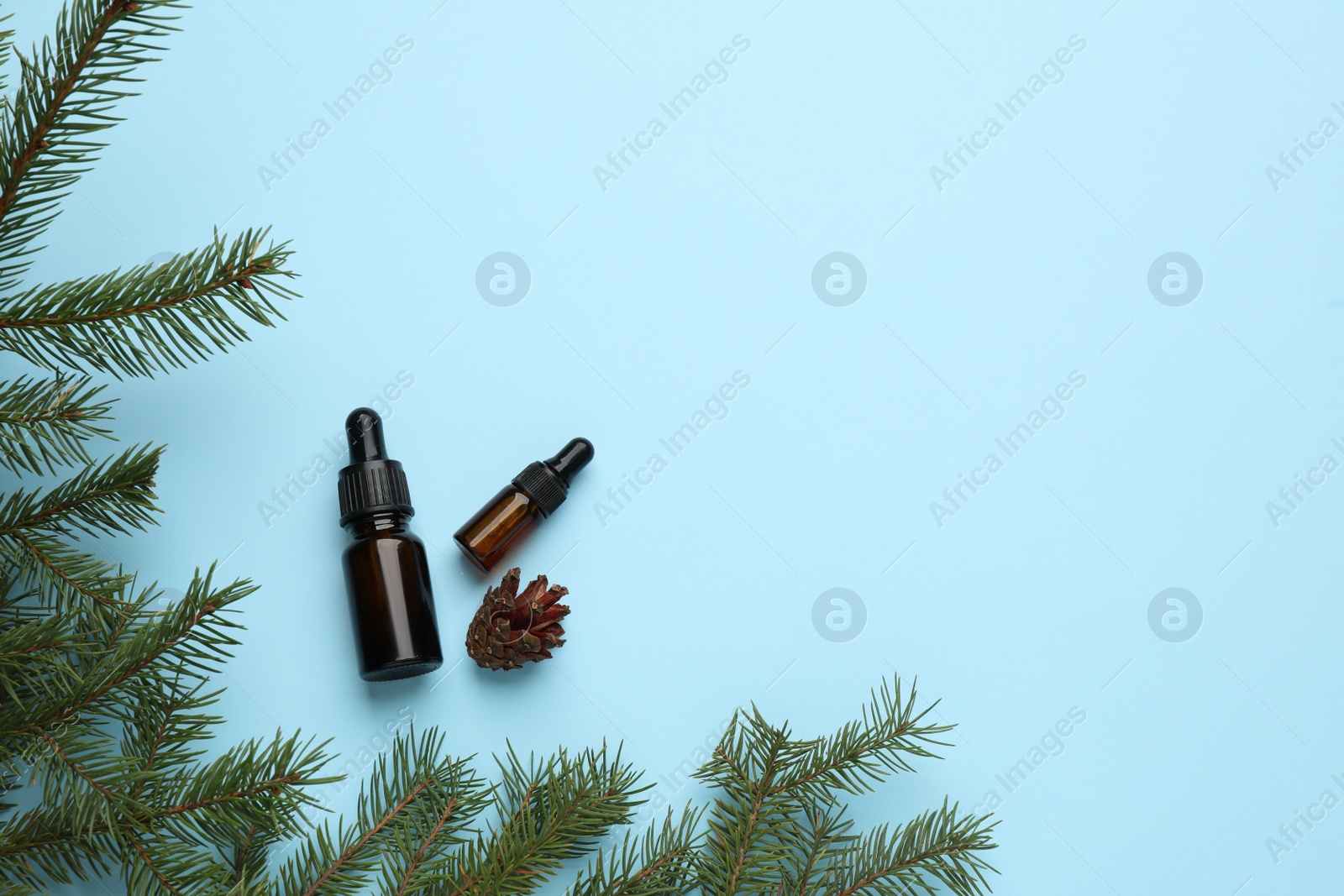 Photo of Bottles of essential oil, fir branches and cone on light blue background, flat lay. Space for text