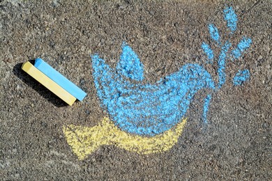 Photo of Bird drawn by blue and yellow chalk with sticks on asphalt, flat lay