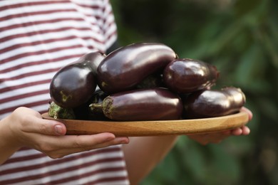 Woman holding wooden board with ripe eggplants on blurred green background, closeup