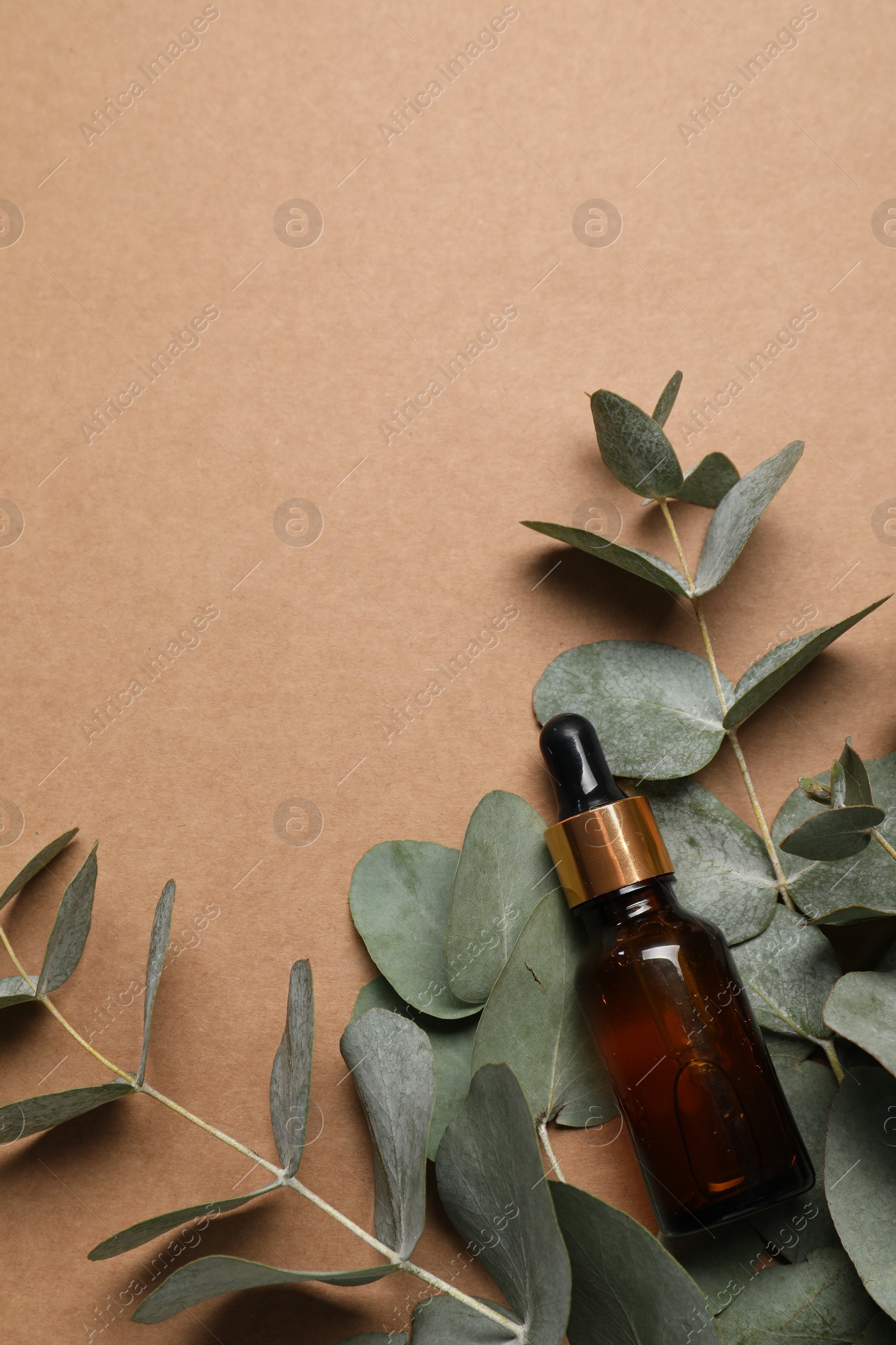 Photo of Aromatherapy product. Bottle of essential oil and eucalyptus branches on brown background, flat lay