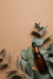 Aromatherapy product. Bottle of essential oil and eucalyptus branches on brown background, flat lay