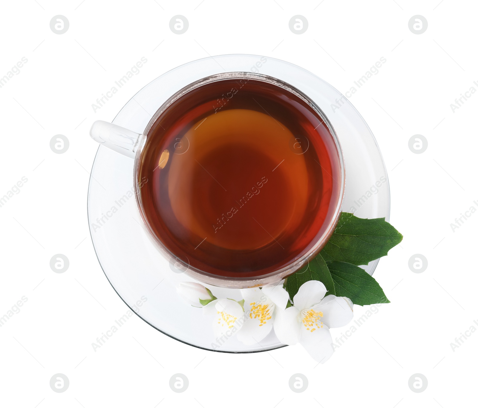 Photo of Cup of tea and fresh jasmine flowers isolated on white, top view