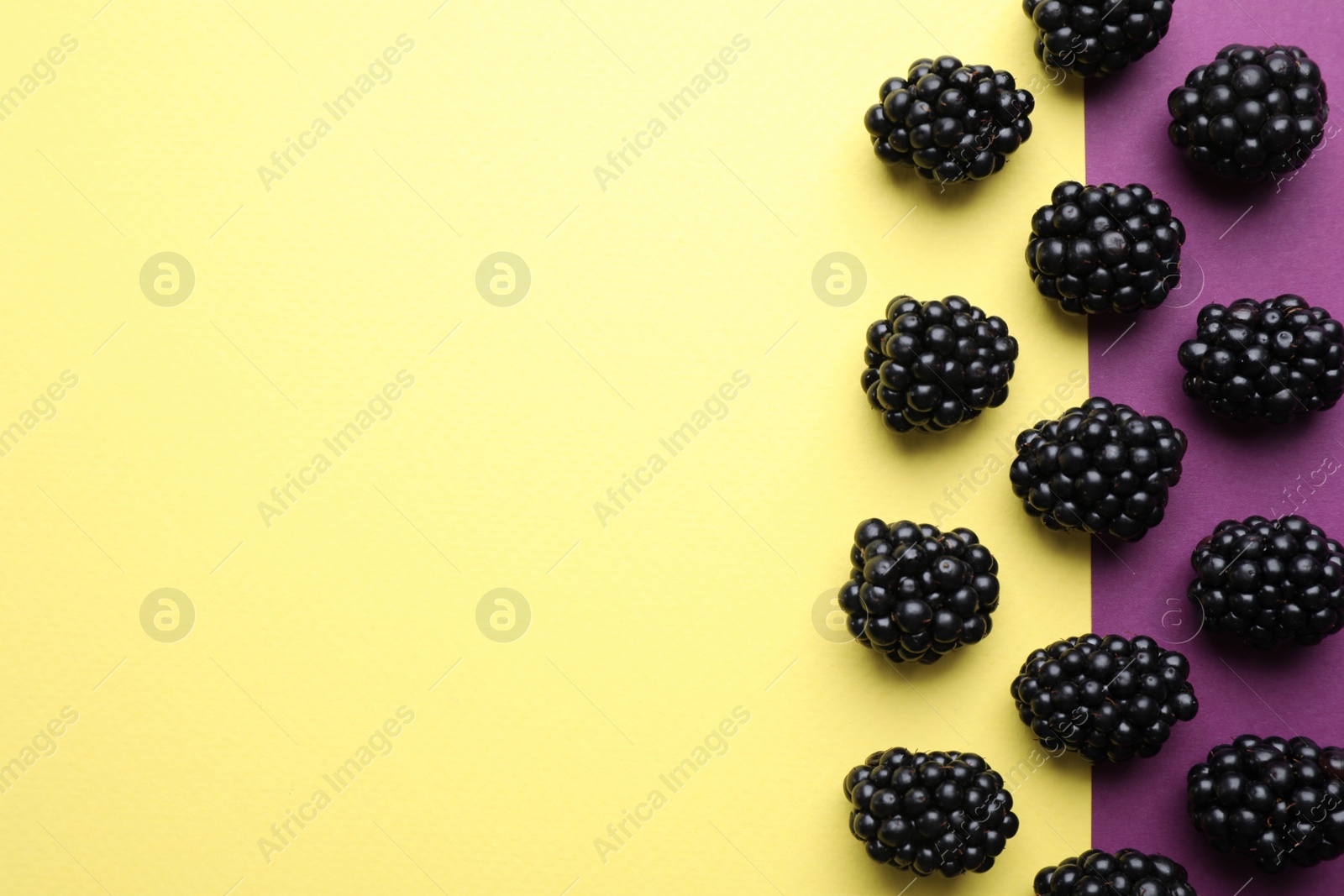 Photo of Tasty ripe blackberries on color background, flat lay. Space for text