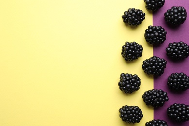 Photo of Tasty ripe blackberries on color background, flat lay. Space for text
