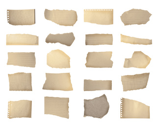 Image of Set of old ripped notebook papers on white background