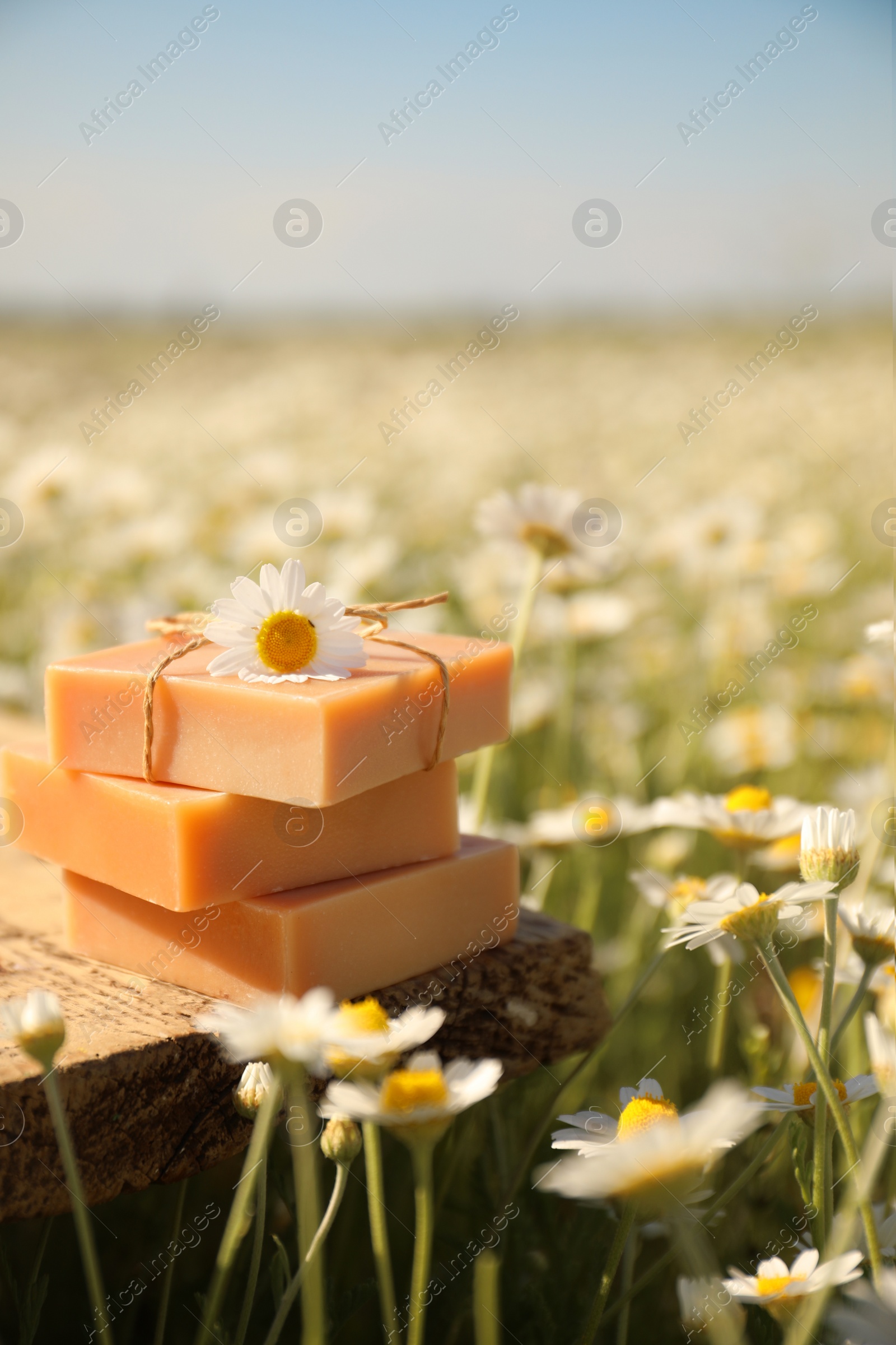 Photo of Bars of soap on wooden table in chamomile field