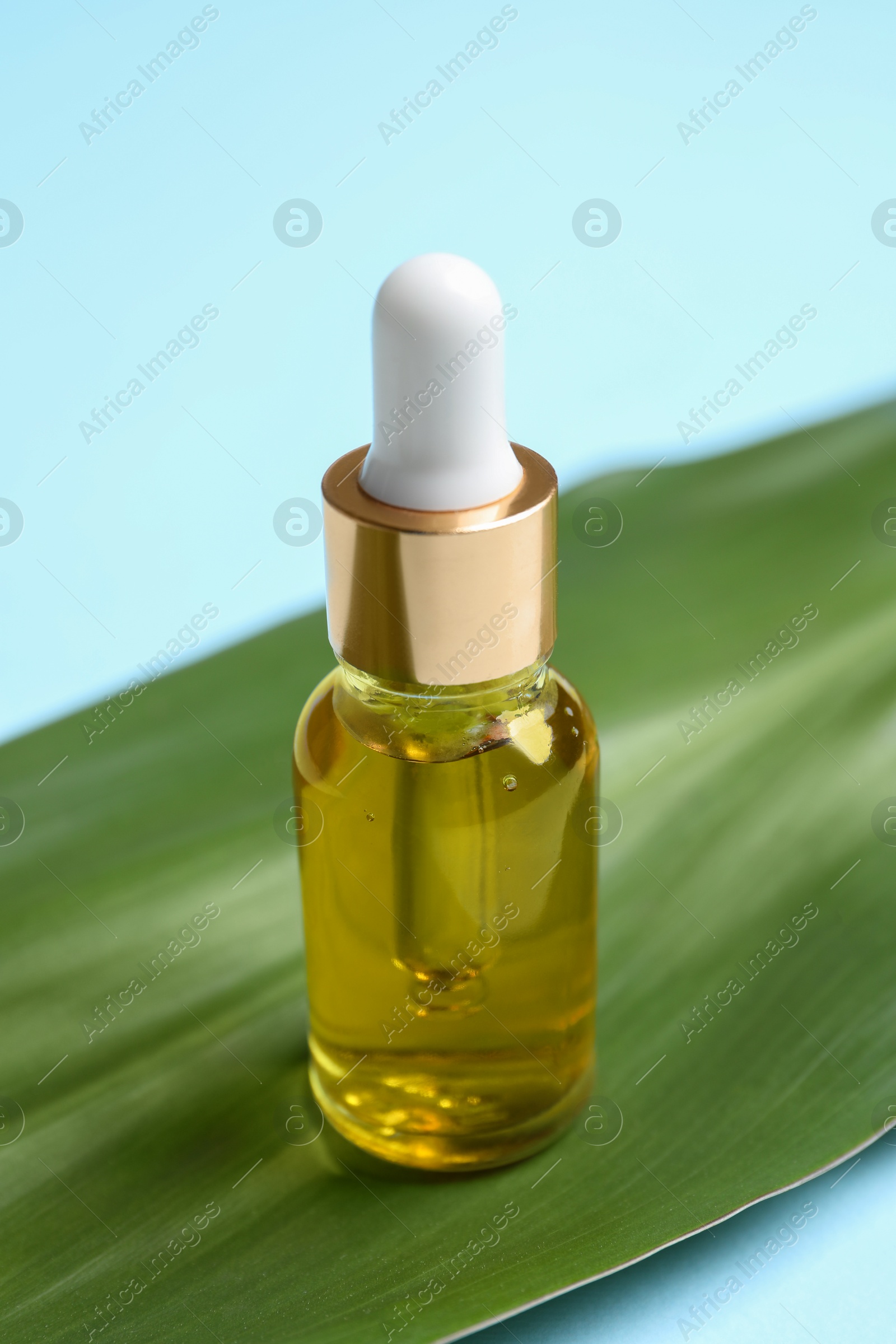 Photo of Bottle with cosmetic oil and green leaf on light blue background, closeup