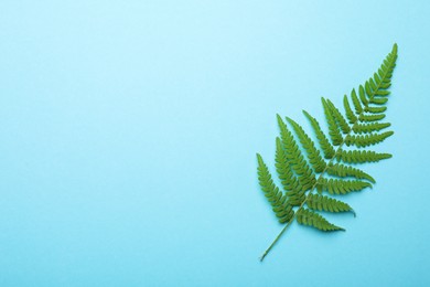 Photo of Beautiful tropical fern leaf on light blue background, top view. Space for text