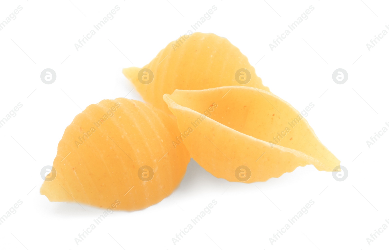 Photo of Raw conchiglie pasta isolated on white. Italian cuisine