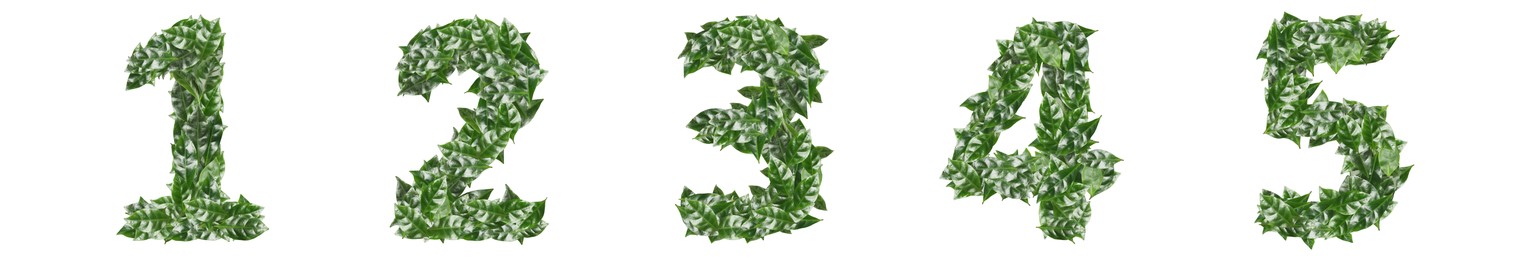 Image of Numbers made of fresh green leaves on white background. Banner design