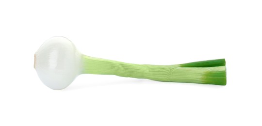Whole green spring onion isolated on white