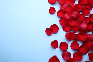 Photo of Beautiful red rose flower petals on light blue background, flat lay. Space for text