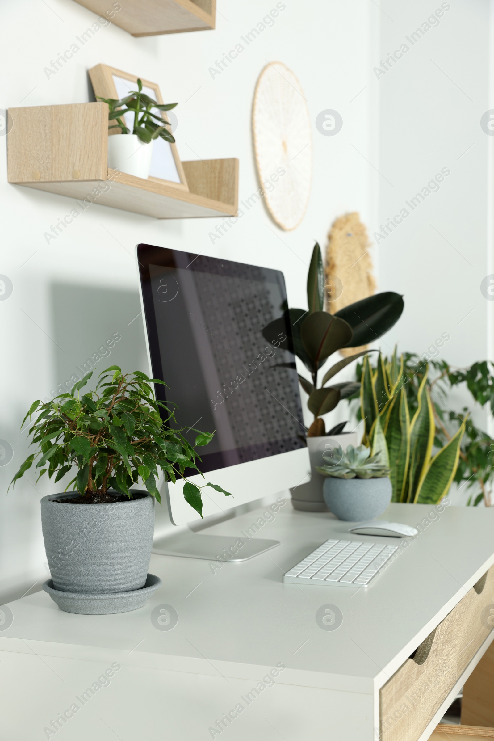 Photo of Comfortable workplace with modern computer and different houseplants in room