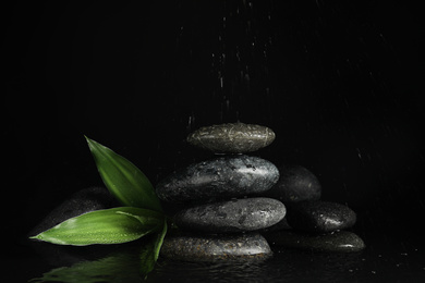 Photo of Stones and bamboo sprout under rain on black background. Zen lifestyle