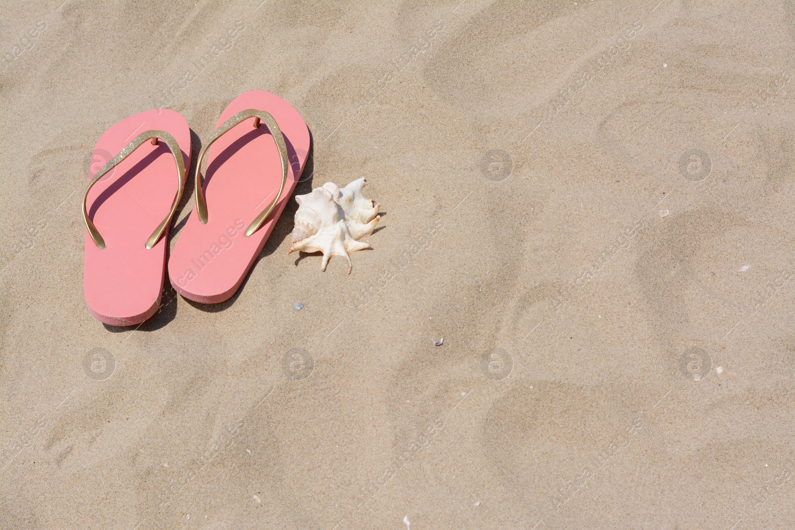 Photo of Stylish pink flip flops and seashell on sandy beach, above view. Space for text