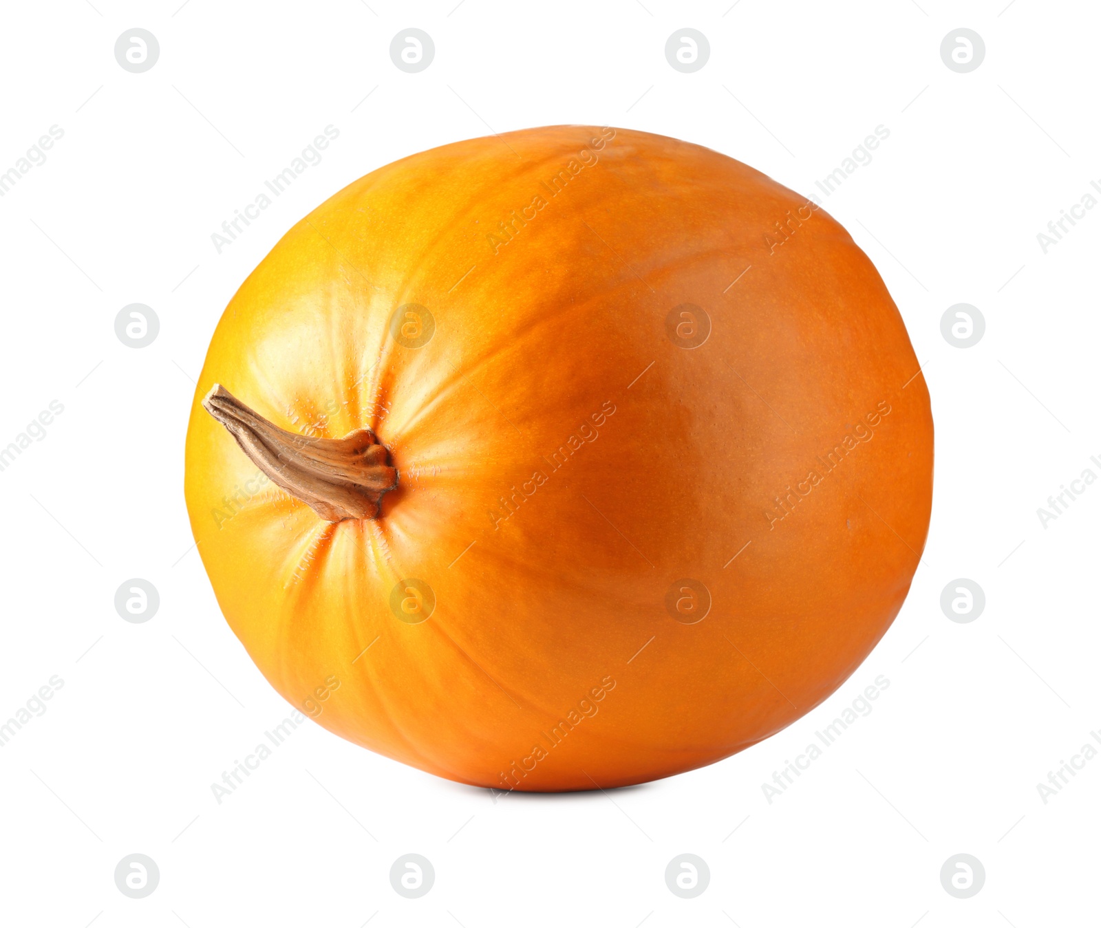 Photo of One fresh orange pumpkin isolated on white