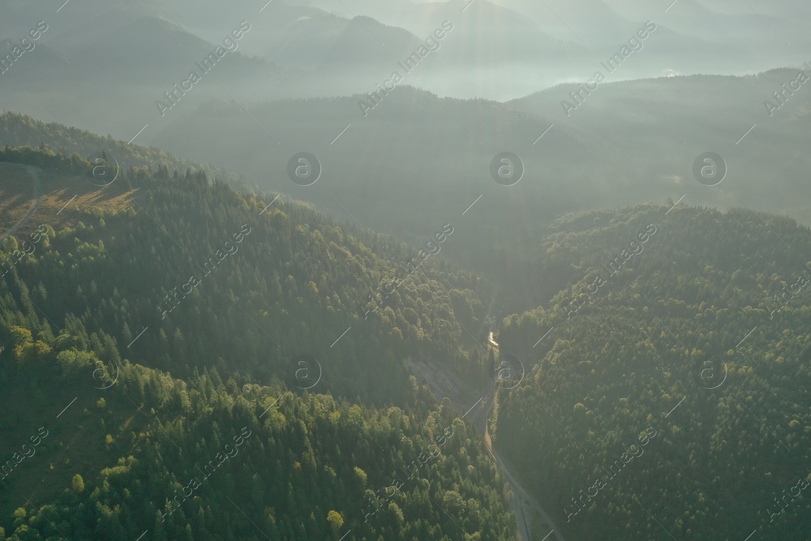 Photo of Aerial view of green trees and road in mountains on sunny day. Drone photography