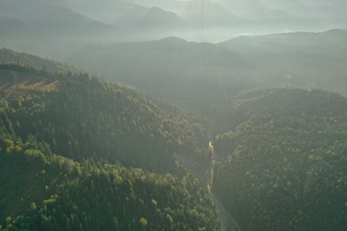 Aerial view of green trees and road in mountains on sunny day. Drone photography