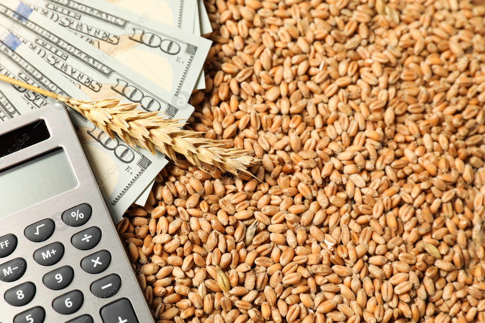 Photo of Dollar banknotes, calculator, wheat ear and grains on table, closeup. Agricultural business