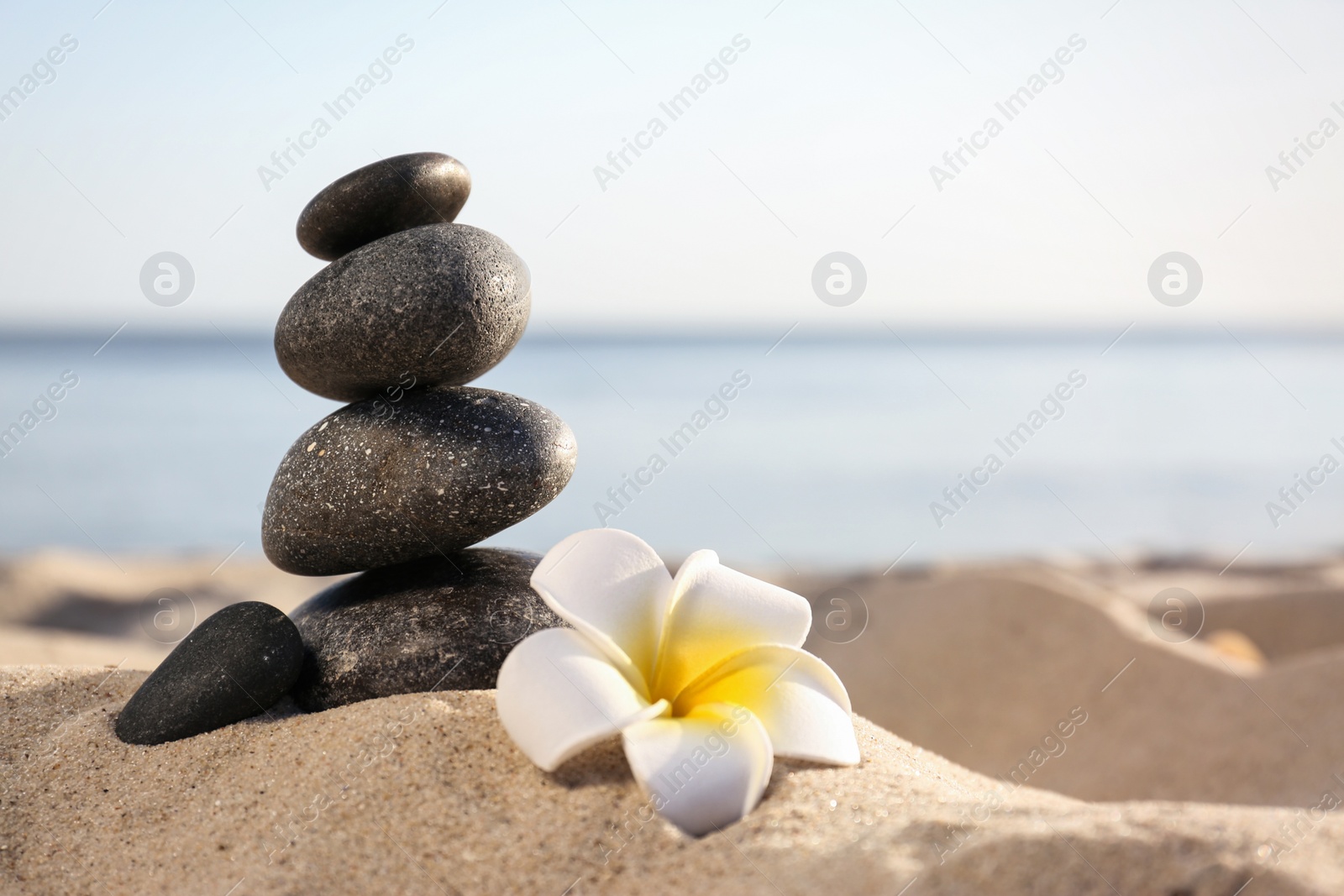 Photo of Stack of dark stones and beautiful flower on sandy beach near sea, space for text. Zen concept