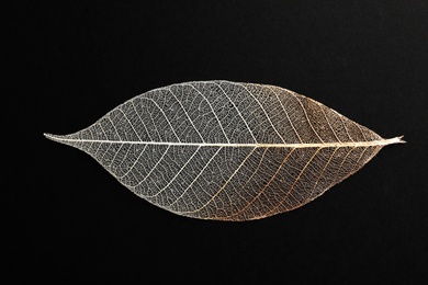 Photo of Beautiful decorative skeleton leaf on black background, top view