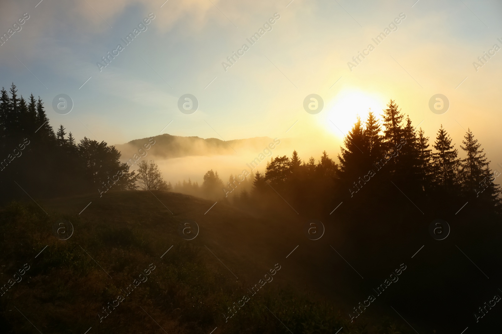 Photo of Picturesque view of mountains covered with fog at sunrise