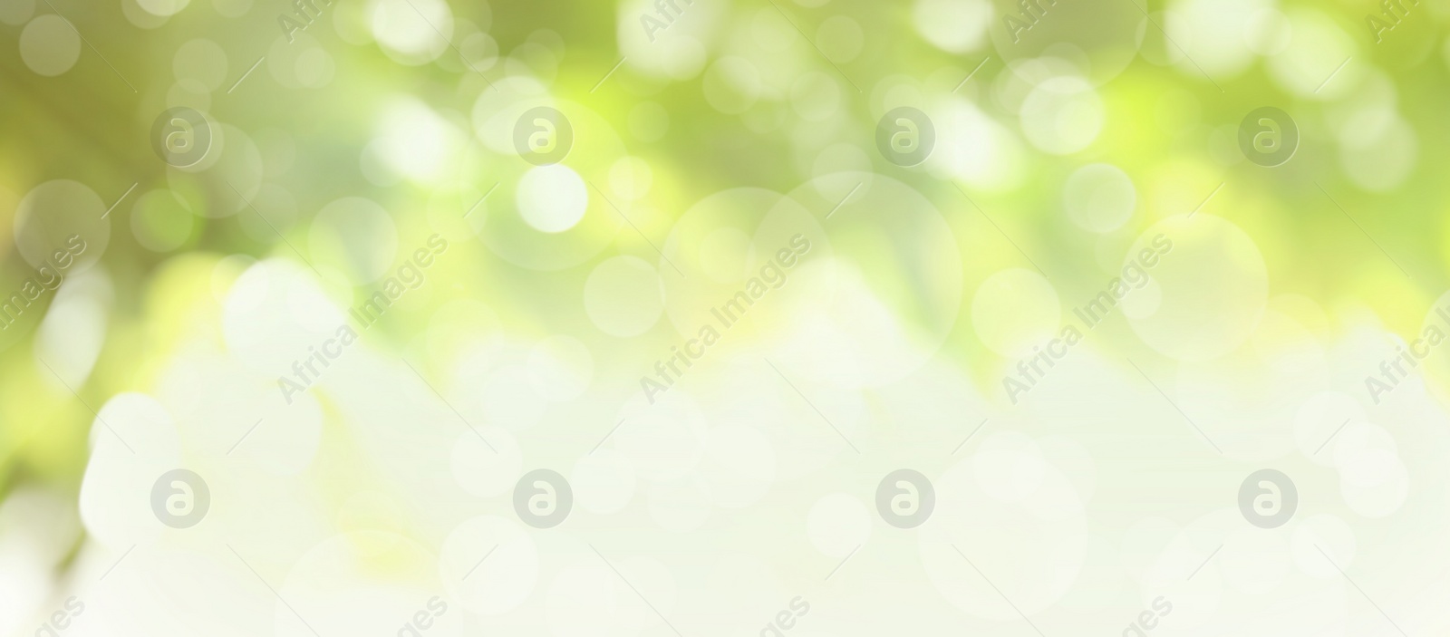 Image of Blurred view of abstract green background, bokeh effect. Springtime