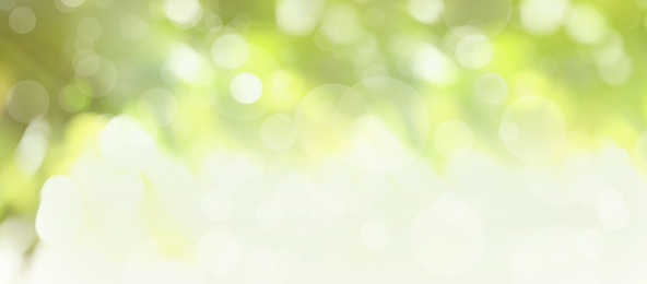 Blurred view of abstract green background, bokeh effect. Springtime