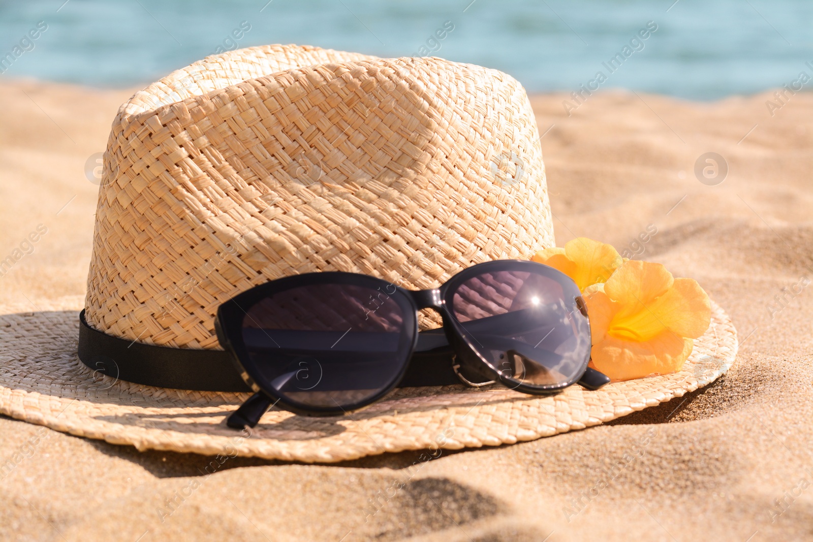 Photo of Hat with beautiful sunglasses and flowers on sand near sea, closeup