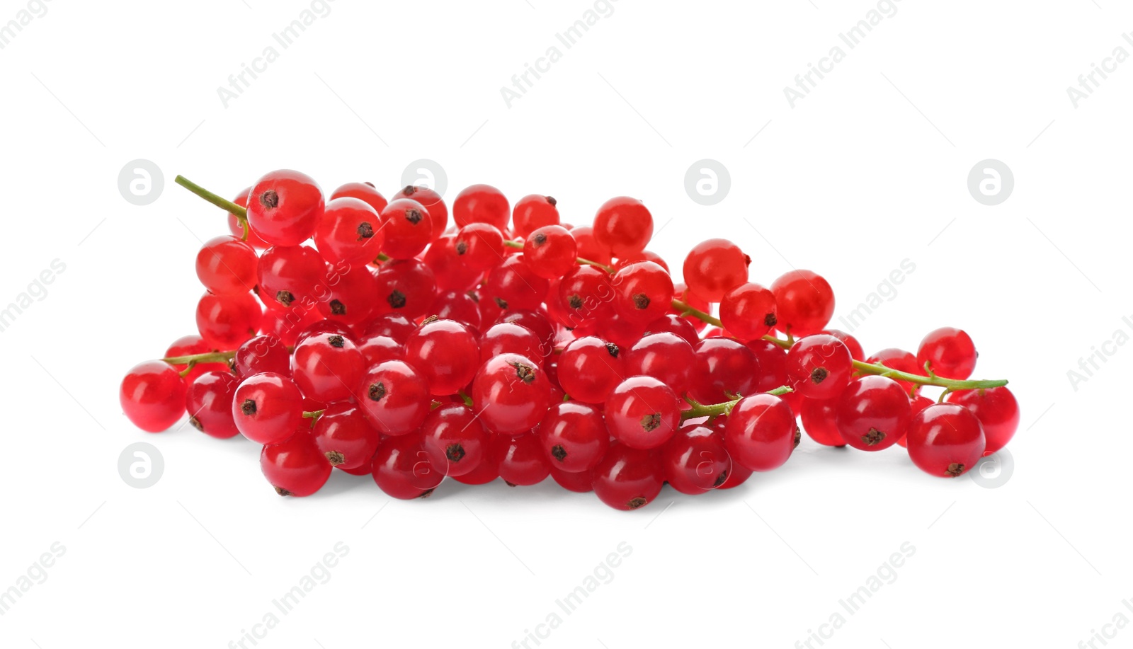 Photo of Delicious ripe red currants isolated on white
