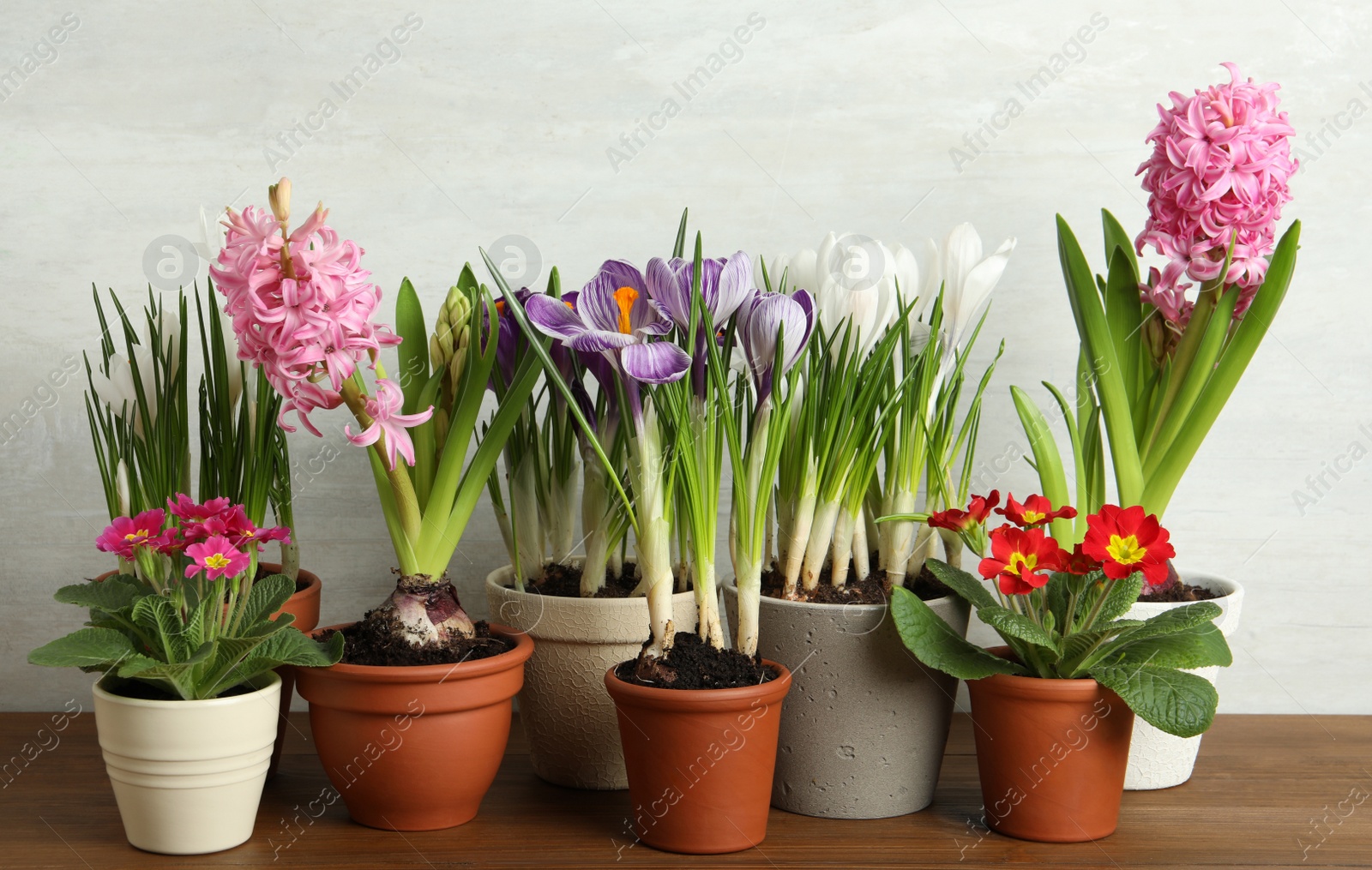 Photo of Different flowers in ceramic pots on wooden table