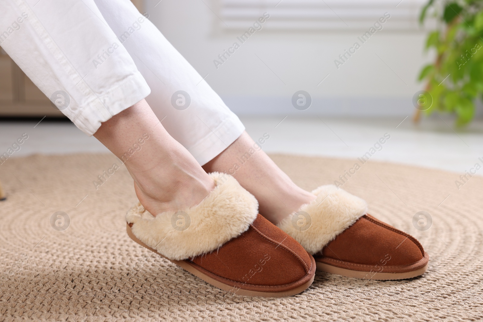 Photo of Woman in soft slippers at home, closeup