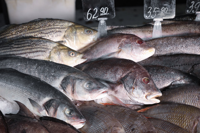 Different types of fresh fish in supermarket, closeup