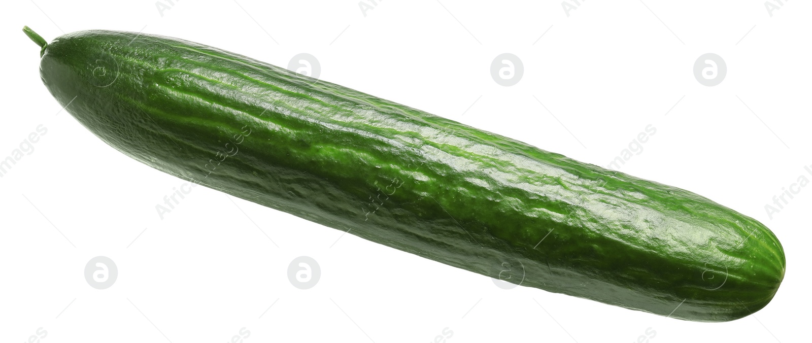 Photo of One long fresh cucumber isolated on white