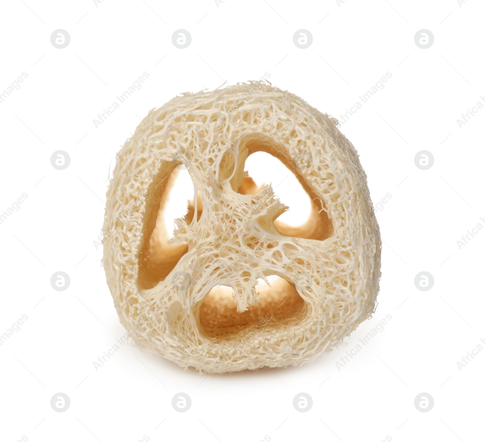 Photo of Natural shower loofah sponge isolated on white