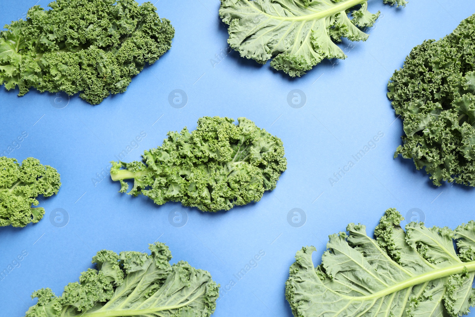 Photo of Fresh kale leaves on blue background, flat lay