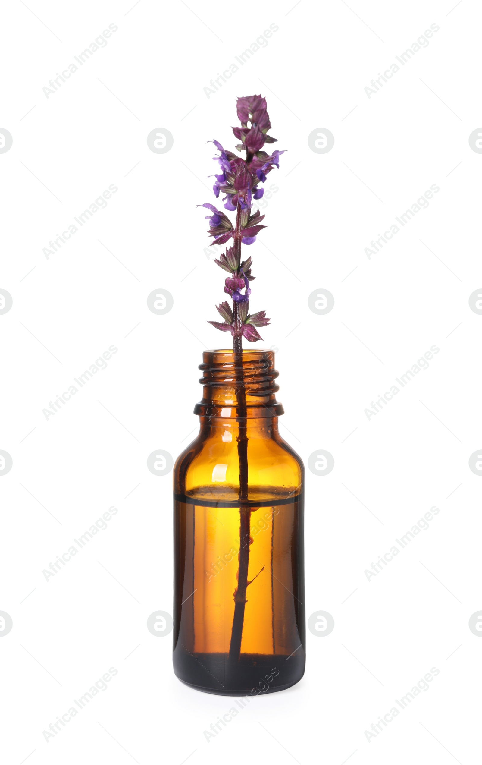 Photo of One bottle with essential oil and sage isolated on white