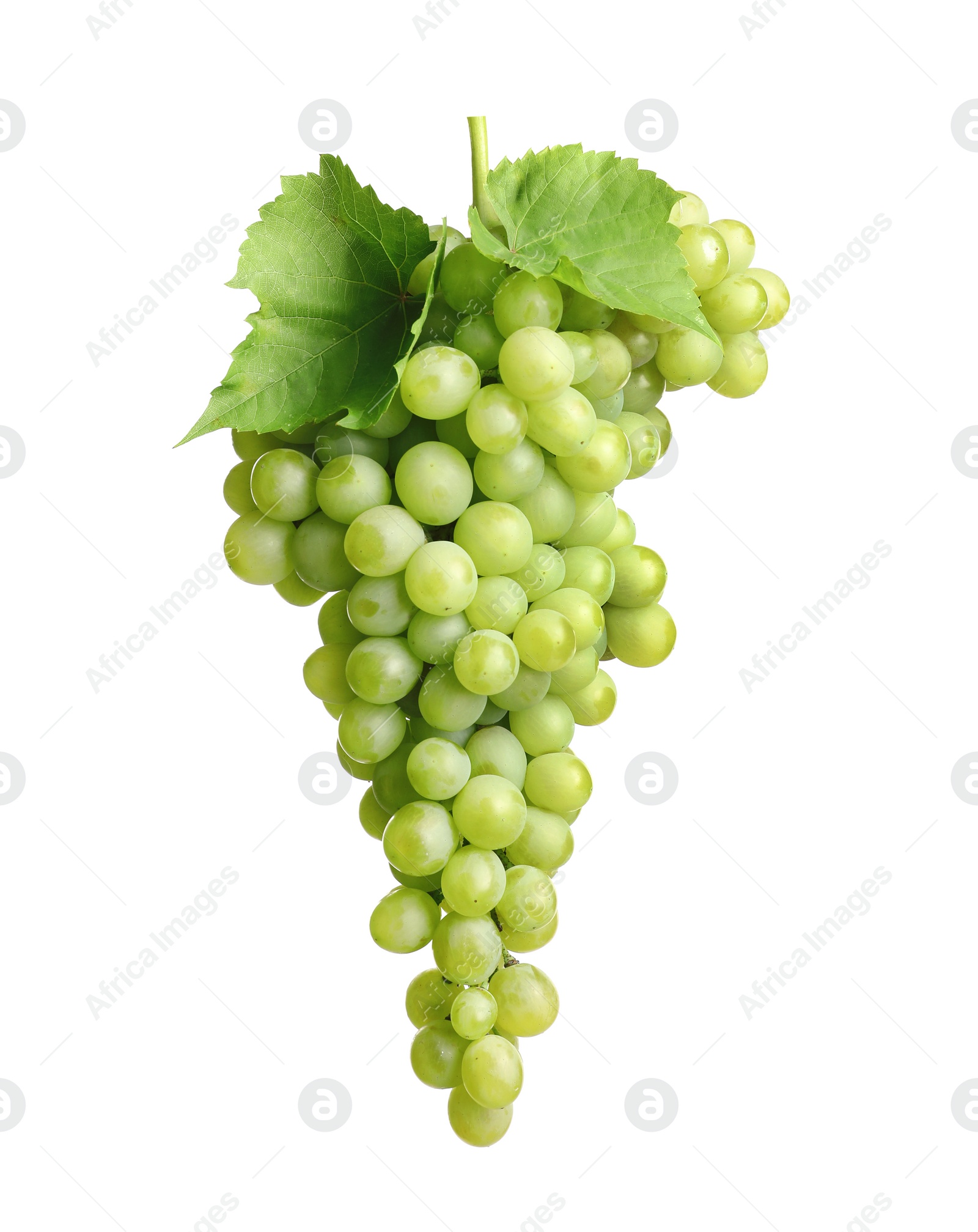 Photo of Bunch of green fresh ripe juicy grapes isolated on white