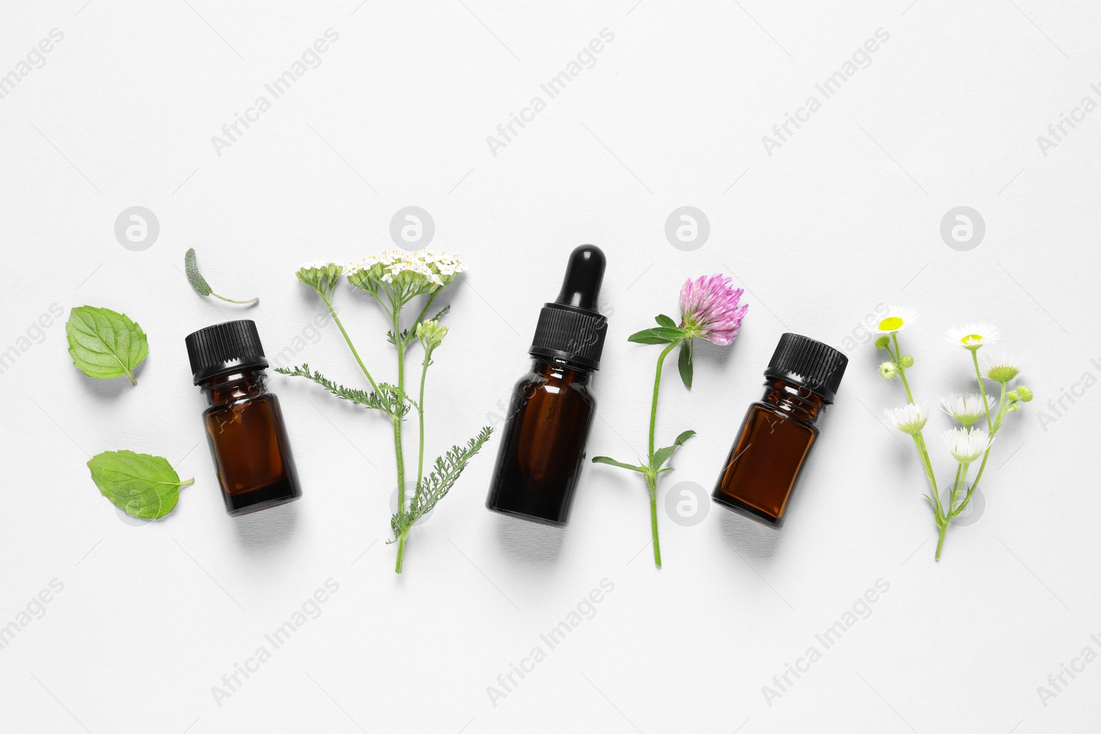 Photo of Bottles of essential oils, different herbs and flowers on white background, flat lay