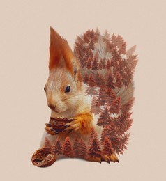 Double exposure of cute squirrel and evergreen fir trees